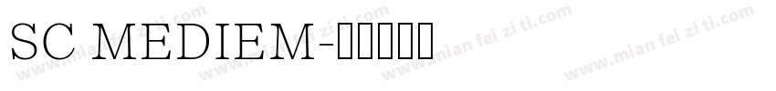 SC MEDIEM字体转换